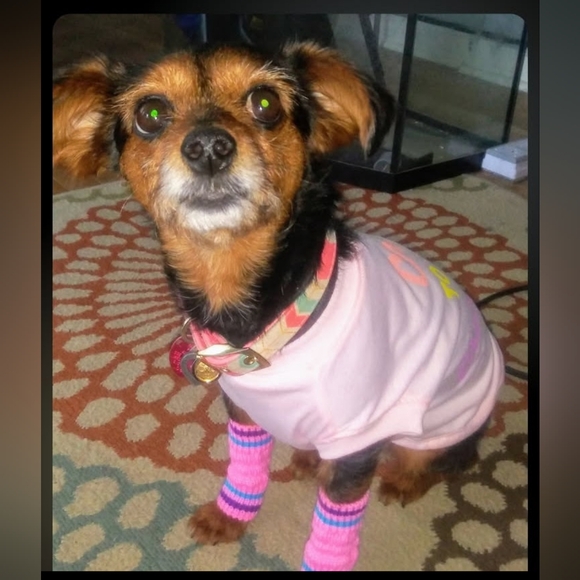 BUTTERFLY_1097 IS LIVE!! - Picture 7 of 8